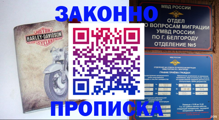 прописка для школы в Шали